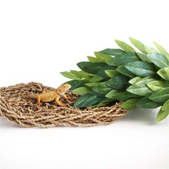 Green Hanging Silk Reptile Plant 12 Inch Terrarium Decoration