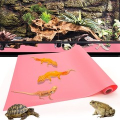 Bearded Dragon Tank Accessories Reptile Tank Accessories Leopard Gecko Tortoi…