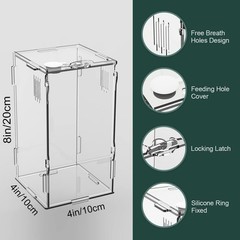 Acrylic Reptile Mini Tank 4x4x8 Sturdy Terrarium for Tarantula Isopod Inverte…