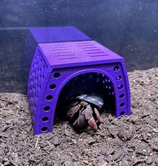 Hermit Crab Tank Cave Hideout Hermit Crab Ornament Decoration Supplies Toys