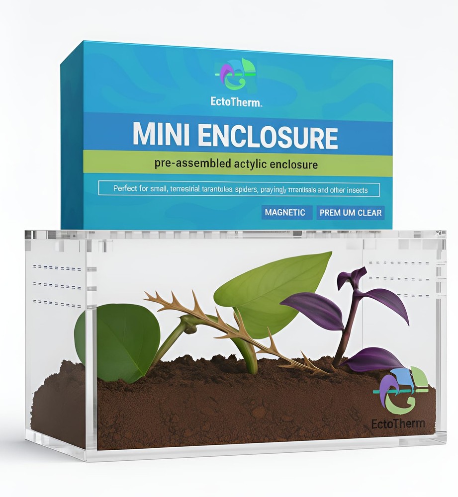 Acrylic Tarantula Enclosure Terrarium for Scorpion Jumping Spider 1 PCS