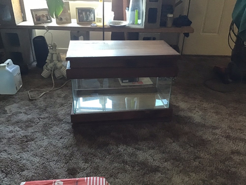 10 gallon Antique Display Terrarium