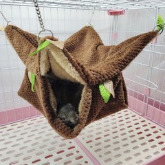 Small Animal Hammock, Hamster Hanging Bunkbed Hammock & Tunnel Warm Bed House…