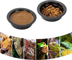 Magnetic Reptile Ledge, Acrylic Gecko Feeding Ledge with 6PCS Cups, Reptile Food