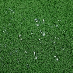 Turtle Basking Platform Turf Simulated Turtle Turf Fish Simulation Turf