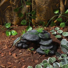 Resin Reptile Hides Pebble Shrimp Hides for Aquarium Tank Terrarium Reptile R…