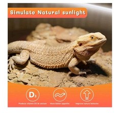 2 Pack 24W-Watt T5 HO Reptile Light Desert UVA UVB 10.0 Fluorescent Tube – 22…