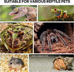 Acrylic Jumping Spider Habitat Insect Terrarium Bug Frog Mantis Enclosure