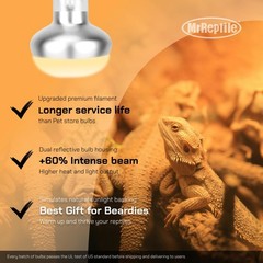 Reptile Heat Lamp, 2-Pack 100W Intense Spot, Bearded Dragon & Lizard Basking …