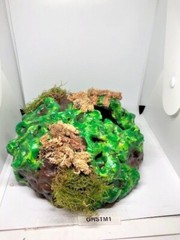 Arboreal Attitudes Weighted Ground Hides For Terrariums And Cages For Reptiles