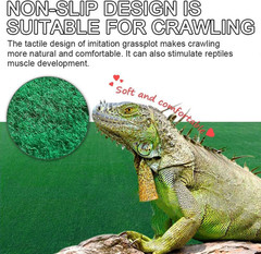 Reptile Carpet 39.4 X 19.7 Terrarium Bedding Substrate Liner Reptile Mat Tank Ac