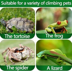 Reptile Lamp Pet Heat Lamp Bulb Turtle Basking Light Bulbs 75W UVA+UVB 3.0