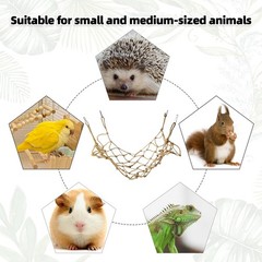 Parrot Climbing Rope Net – Multi-Size Colorful Bird Hammock, Ladder & Chew wi…