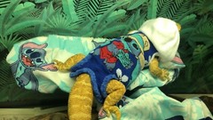 LILO & STITCH PRINTS DESIGN LRG ATTACHABLE RESTING BED COVER 4 BEARDED DRAGONS