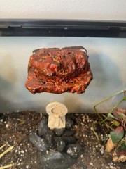 Magnetic Rock Ledges For Terrariums And Cages (Limited Edition) Small LAVA