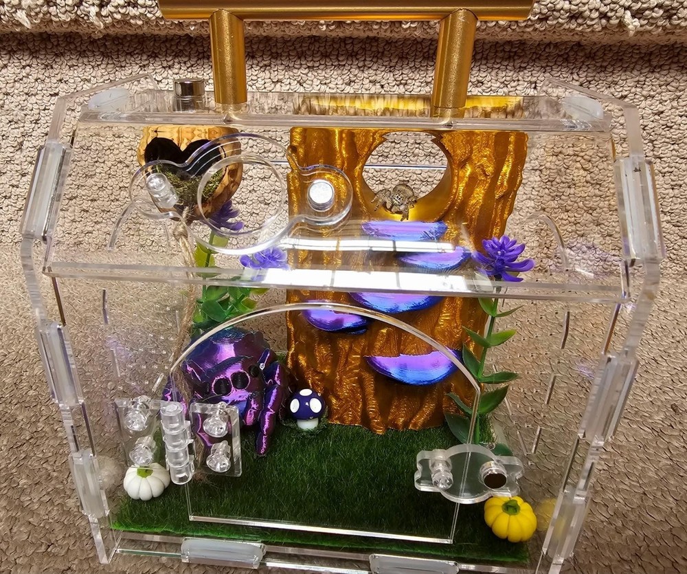 Premium Acrylic Spider Enclosure Jumping Tarantula Reptile Insect Terrarium Tran