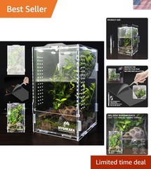 Transparent Acrylic Insect Terrarium for Small Reptiles and Amphibians