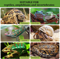 Clay Pebbles 2LB Terrarium Substrate Drainage Layer Reptile Balls