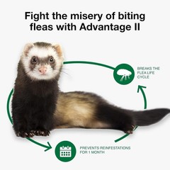 Ferret Flea Treatment Topical Prevention 1+ lbs 2 Month Supply Water-Resistant