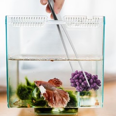 Pinzas para acuario de 10,6″ juego de pinzas rectas y curvas de acero inoxidable