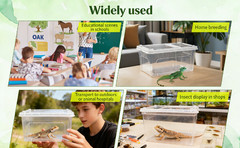 Reptile Feeding Box Animal Habitat Cage with Cover Terrarium Turtle Transport