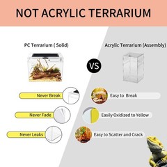 Mini Reptile Terrarium 12″x7″x9″ – Full View Tank for Iguanas, Tortoises, Frogs