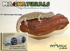 MagNatural Sm Rock Ledge Mojave – Pet-Tekk