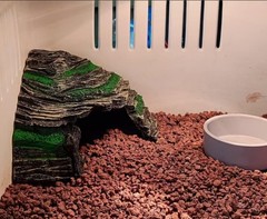 Reptile Hide, Reptile Basking Platform and Aquarium Cave for Lizards, Geckos,…