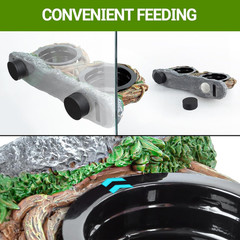 Magnetic Reptile Feeding Ledge, Gecko Feeder Ledge with 4PCS Cups, Hollow Vine F