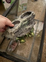 Reptile Set Up Pet Supplies