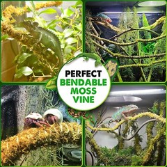10FT Reptile Vines for Climbing Bendable Branch for Reptile Natural Moss Rope