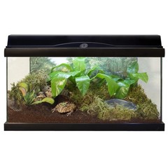 Reptile Substrate Compressed Coconut Fiber Eco Earth 3 Pack Zoo Med Reptiles