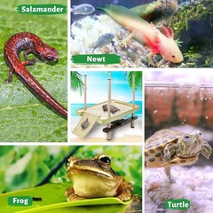 Large Turtle Floating Basking Platform with Feeding Area, Turtle Floating Docks