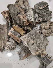 Cork Bark Pieces – Natural – Terrarium Houseplants Orchids Animals