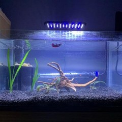 Emours Natural Aquarium Spider Wood Driftwood Tropical Fish Plant Habitat Dec…