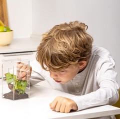 EctoTherm Jumping Spider Enclosure – Complete Acrylic Small, Transparent