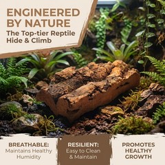 6pcs Natural Cork Bark Reptile Substrate Terrarium Background – Wood Lizard