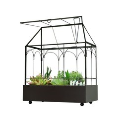 Large Tall Glass Plant Terrarium – House Succulent Terrarium Kit with Lip and…
