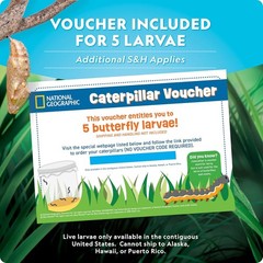 National Geographic Ultimate Butterfly Growing Kit Habitat for 5 Caterpillars