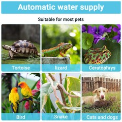 Drinking Fountain for Reptiles Bearded Dragon Tank Accessories