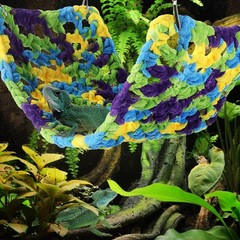 Reptile Hammock Small Bearded Dragon Lizard Cage Accessory Beds for Dragons