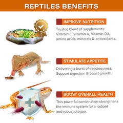 2oz Bearded Dragon Food Supplement, Flower Salad Mix Topper. Supercharge Juve…