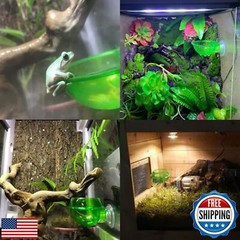 PINVNBY Reptile Suction Cup Feeder,Chameleon Feeding Food Bowl,Translucent An