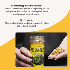 Fluker’s Freeze Dried Insects Mealworms Reptile Bird Fish Food 1.7 Oz