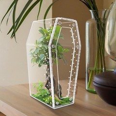 Acrylic Jumping Spider Enclosure Container Coffin Shaped Vivarium Terrarium
