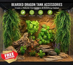 Reptile Plants Terrarium Group A