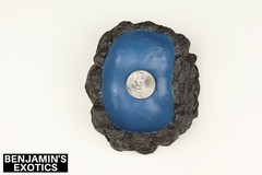 Reptile Water Bowl Small Dish Resin Naturalistic Ocean Rock Snake Lizard Frog