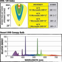Eco-Friendly Canopy Series 20W UVB/UVA Bulb – Perfect for Desert Reptiles