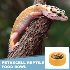 Reptile Food Bowl Worm Water Dish Ceramic Pet Bowl Small 2″ Clay