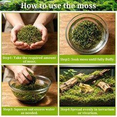 25QT Natural Sphagnum Moss Reptiles Bedding Nesting Hamster 1.3 LB Forest
